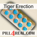 Tiger Erection new09